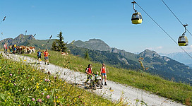 Eine malerische Berglandschaft mit Wanderern auf einem Weg. Seilbahnen schweben über die Wiesen mit blühenden Blumen und Kühen im Hintergrund.