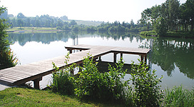 Badesee Wildenau in Aspach: Ein ruhiger See, an dessen Ufer ein Holzsteg in das Wasser hinausragt. Auf der einen Seite des Stegs befinden sich Büsche und Bäume, die sich im Wasser spiegeln. Insgesamt vermittelt die Szene einen friedlichen und naturnahen Eindruck.