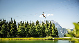 Klettern im Hornpark Kletterwald