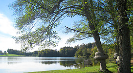 Ibmer-/Heratingersee Strandbad in Eggelsberg: Eine idyllische Szene mit einem See, an dessen Ufer sich eine grüne, bewaldete Umgebung erstreckt. Ein großer, ausladender Baum mit üppigem Blattwerk dominiert den Vordergrund. Im Hintergrund sind weitere Bäume und Sträucher zu erkennen, die sich in dem ruhig dahinfließenden Wasser spiegeln.