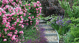 Rosenblüte im Keramikgarten