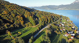 Edelkastanienwald - Naturschutzgebiet in Unterach am Attersee: Das Bild zeigt eine idyllische Landschaft mit bewaldeten Hügeln, einer Straße, die sich durch die Landschaft schlängelt, und einem See oder Fluss, der sich im Hintergrund erstreckt. Die Vegetation ist in den warmen Herbstfarben getaucht, die einen malerischen Anblick bieten.