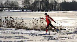 Langlaufen in Anthering