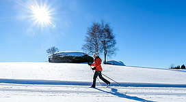 Langläufterin, die auf einer gespurten Loipe unterwegs ist. Im Hingtergrund ein großer Grantifels und ein Baum sowie der blaue Himmel mit strahlender Sonne.
