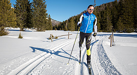 Ein Skilangläufer in sportlicher Kleidung gleitet über eine schneebedeckte Strecke. Im Hintergrund sind grüne Bäume und ein klarer blauer Himmel zu sehen.