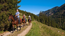 Reiter auf einem Waldweg in den Bergen. Der klare Himmel und die grüne Landschaft schaffen eine entspannte Atmosphäre.