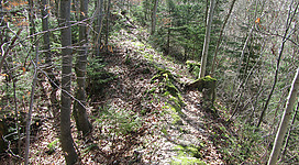 Wenige Überreste einer Ruine im Wald