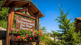 Einen Ausflug zur Premhütte machen