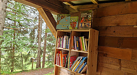 Die Waldbibliothek Radstadt entdecken