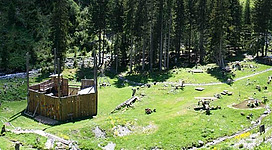 Eine weite, grüne Landschaft mit verstreuten Holzstrukturen und Bäumen. Im Hintergrund fließt ein kleiner Bach.