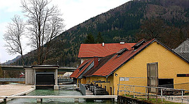 Kraftwerk Geyerhammer