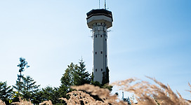 Kobernaußerwald Warte & Galerie im Turm in Lohnsburg am Kobernaußerwald: Ein hoher Turm mit einem Aussichtsplattform und mehreren Antennen ragt über eine dichte Baumlandschaft empor. Der Turm besitzt eine konische Form und ist in hellen Farbtönen gehalten. Die Umgebung ist von Bäumen und Sträuchern geprägt, die den Turm umrahmen.