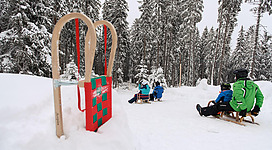 Rodeln auf der Naturrodelbahn Aeroplan
