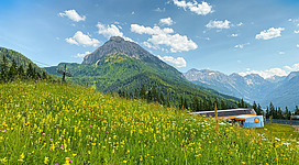 Sporteln und austoben beim Family Run Sommer Edition