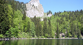 Mönichsee in St. Wolfgang im Salzkammergut: Das Bild zeigt eine idyllische Berglandschaft mit einem See, der die umliegenden Felsen und Wälder widerspiegelt. Die steilen Felswände ragen majestätisch in den blauen Himmel empor, während der grüne Wald das Ufer des Sees säumt.