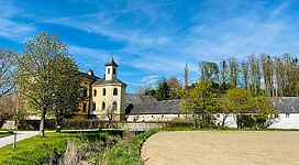 Schloss Auhof und Kulturhof