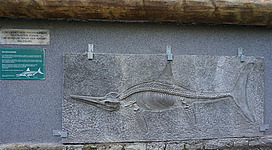 Eine Wanderung zur Glasenbachklamm machen