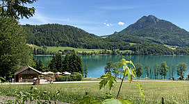Ein malerischer See umgeben von üppigen Wäldern und sanften Hügeln. Im Vordergrund sind ein Pavillon und Sonnenschirme zu sehen.