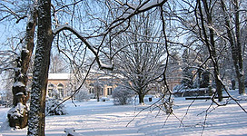 Park im Winter
