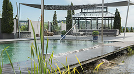 Moderner Naturpool mit Wasservorhang