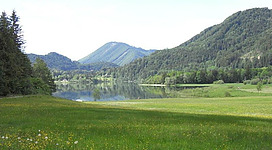 Eine malerische Landschaft mit sanften Hügeln und einem ruhigen See. Die Wiesen sind grün und blühend, umgeben von Bäumen.