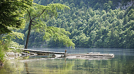 Am Toplitzsee angeln gehen