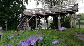 Aussichtsplatzform im Europareservat Unterer Inn in Kirchdorf