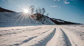 Langlaufen im Ortsteil Taxenbach Dechantsbühel erleben