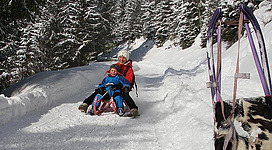 Eine Mutter und ihr Kind fahren fröhlich mit einem Schlitten den verschneiten Hang hinunter. Umgeben von schneebedeckten Bäumen genießen sie einen sonnigen Wintertag.