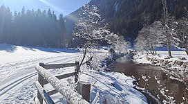 Eine verschneite Landschaft mit Bergen im Hintergrund. Ein ruhiger Weg führt durch die weiße Fläche, gesäumt von Bäumen und Hütten.
