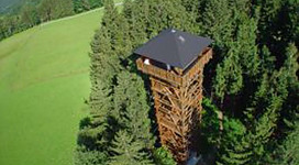 Die Luftaufnahme zeigt einen hohen, braunen Holzaussichtsturm mit einem schwarzen Dach, der an der Grenze zwischen einem dichten Nadelwald und einer großen, grünen Wiese steht.