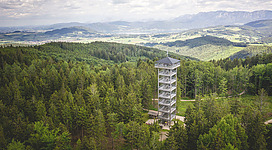 Luftaufnahme vom Attergauer Aussichtsturm.