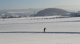 Langlaufen in und um Straßwalchen