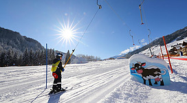 Ein Skifahrer steht auf einer verschneiten Piste unter der strahlenden Sonne. Im Hintergrund sind bewaldete Berge und eine bunte Schildkröte zu sehen.