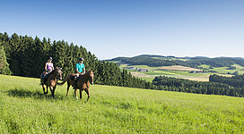 Reiterhof Raab in Pfarrkirchen im Mühlkreis: Zwei Personen reiten auf Pferden über eine weite, grüne Wiese. Im Hintergrund sind bewaldete Hügel und ein klarer Himmel zu sehen. Die Landschaft sieht friedlich und ländlich aus.