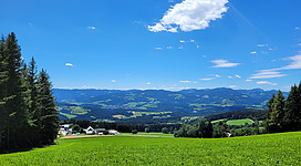 Auf die Aussichtswarte Wildwiese hinaufsteigen