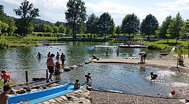 Schwimmen und entspannen am Naturbadeteich Kipferlbad