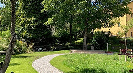 Stadtgarten Grein in Grein: Ein attraktiver Garten mit gepflegten Wegen, üppiger Vegetation und einer Sitzbank. Der Weg windet sich durch eine Rasenfläche, die von Bäumen und Sträuchern umgeben ist. Die idyllische Szenerie vermittelt eine ruhige und entspannende Stimmung.
