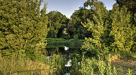 Sulzbach bei Schönkirchen-Reyersdorf