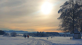 Langlaufen in Mattsee
