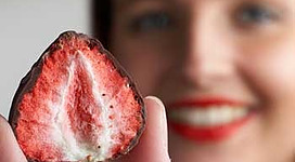 Fruchtpralinen von Frucht und Sinne in Frankenmarkt in unterschiedlichen Sorten. Ein Genuss!