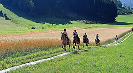 Reiten am Ramlhof
