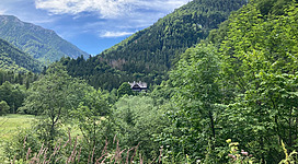 Eine grüne Landschaft mit sanften Hügeln und dichten Wäldern. Im Hintergrund ist ein kleines Haus zu sehen.
