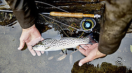 Fischen im Hollersbacher Stausee