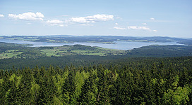 Der Moldaustausee - auch genannt \"Süd-Böhmische Meer\"