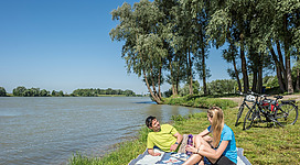Efrischender Donauzugang in Au an der Donau an dem sich ein Pärchen auf einer Decke entspannt.