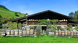 Die Tiroler Bienenalm besuchen