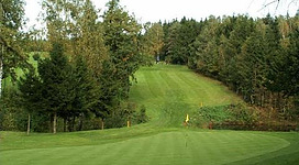 Golfclub über den Dächern von Passau in Freinberg: Eine weitläufige Golfanlage erstreckt sich durch eine malerische Waldlandschaft. Der Rasen ist akkurat gemäht und eine kleine Fahne markiert das Loch. Dichter Baumbestand säumt beide Seiten des Weges, der sich durch die Landschaft windet.