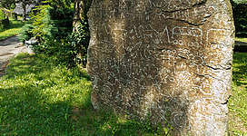 Galerie in Granit in Grein: Eine große, unebene Steinformation inmitten eines grünen, bewachsenen Geländes. Die Oberfläche des Steins ist vollständig mit undefinierbaren Zeichnungen und Symbolen bedeckt, die auf eine lange Geschichte oder kulturelle Bedeutung hinweisen. Die Umgebung ist von üppiger Vegetation, Bäumen und Büschen geprägt, was dem Ort einen ruhigen, natürlichen Charakter verleiht.