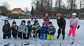 Eislaufen am Auparkteich Pöllau